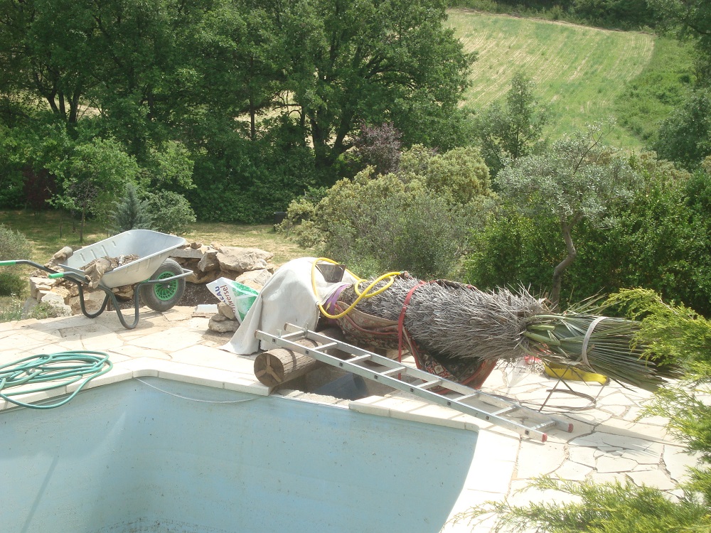 Trithri sur bord piscine.JPG