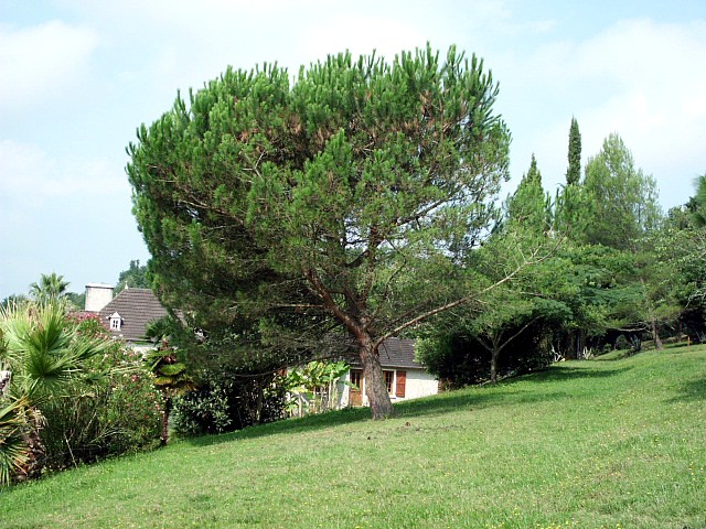 HPIM0034.JPG