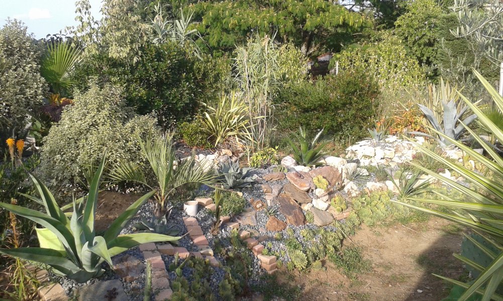 20170828_185818.jpg