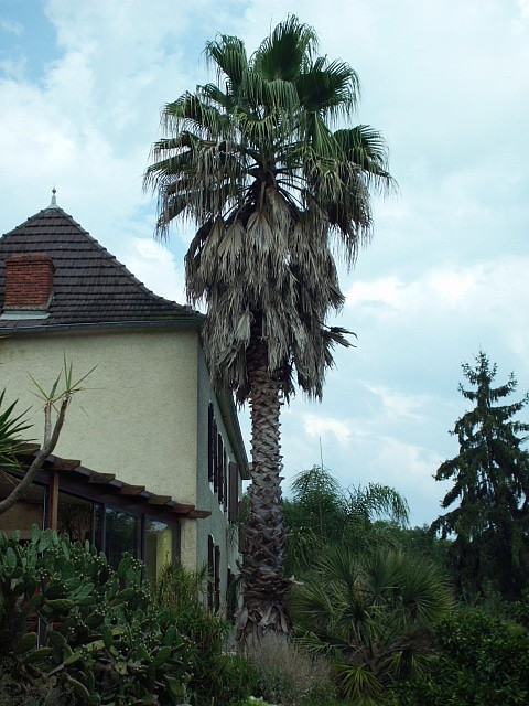 HPIM0039.JPG