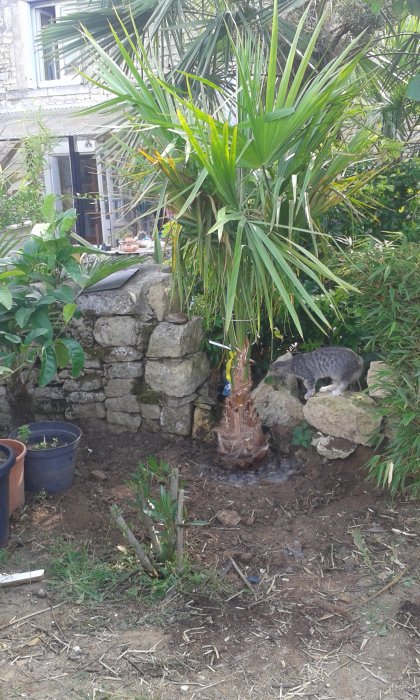 20170831_154738.jpg