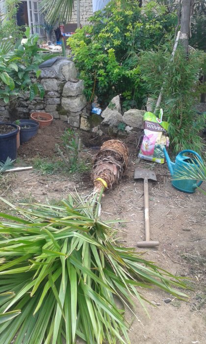 20170831_153118.jpg