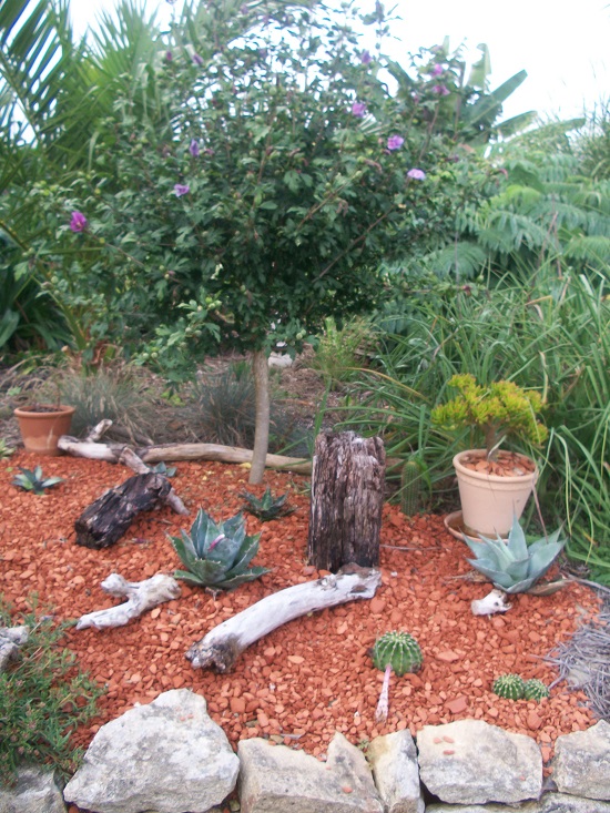 100_8509.JPG