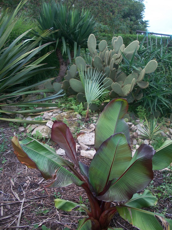 100_8511.JPG