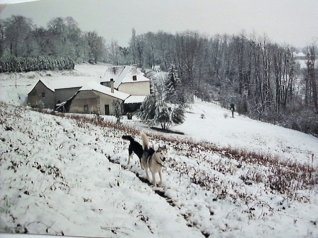 HPIM0041.JPG