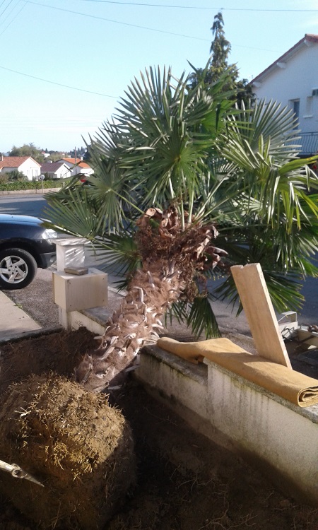 20170930_102155.jpg