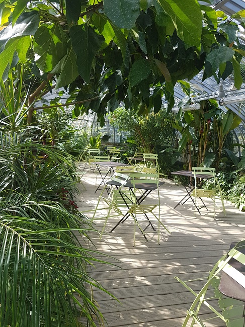 Jardin des Plantes Ile aux Palmiers sept 2017 (1).jpg