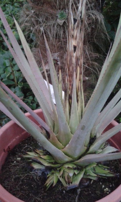 20171002_192654.jpg