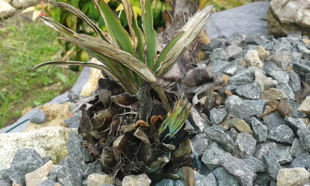 20170916_163457.jpg