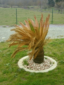 février 2009