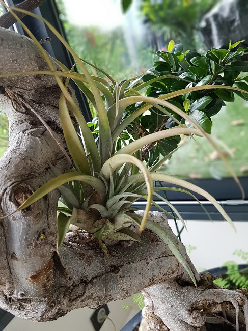 20171008_103021.jpg