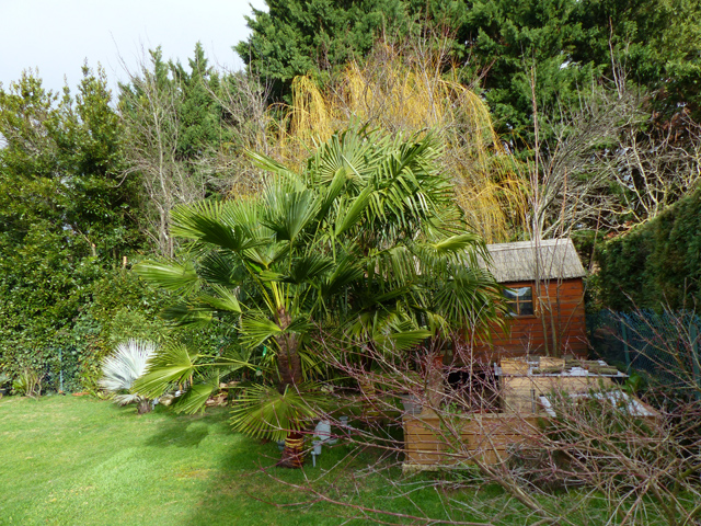 P1130231fh.jpg