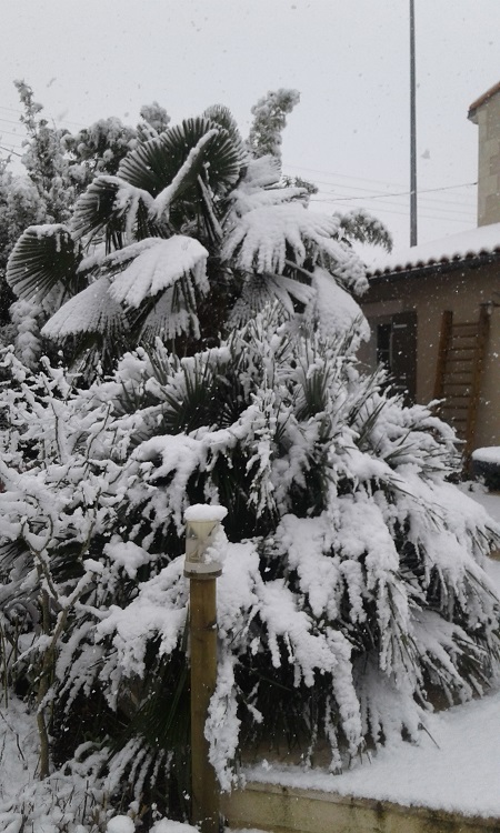 20180206_121019.jpg