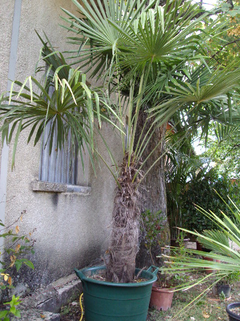 DSC06675.JPG