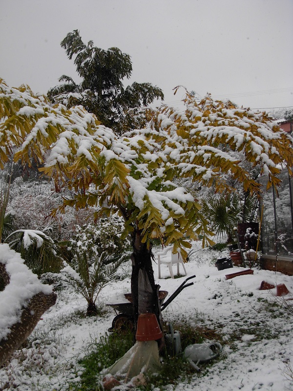 DSCN9701.JPG