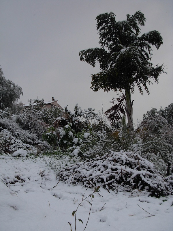 DSCN9703.JPG