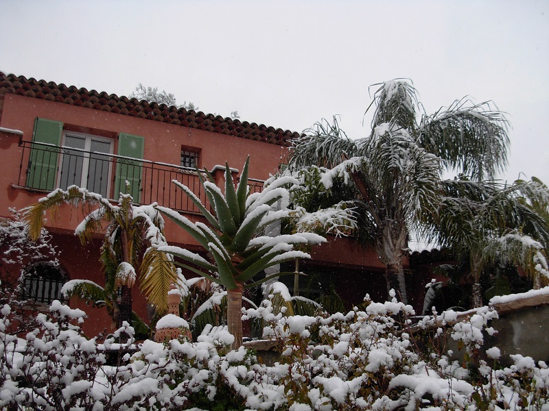 DSCN9707.JPG