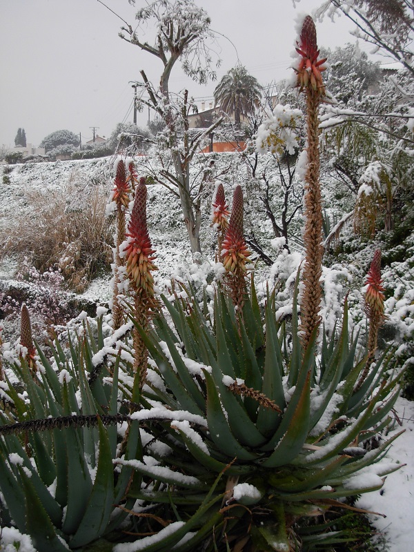 DSCN9708.JPG