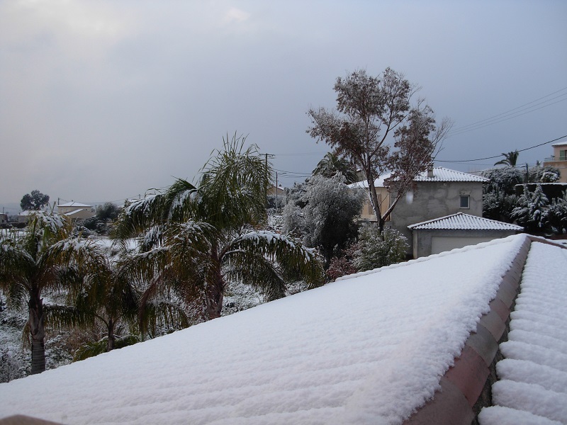 DSCN9716.JPG