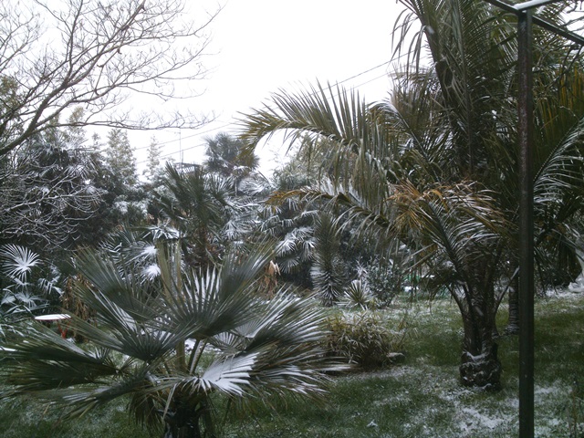 DSC_0059.jpg