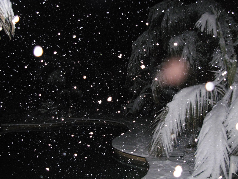 DSCN9731.JPG