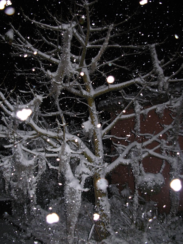 DSCN9727.JPG