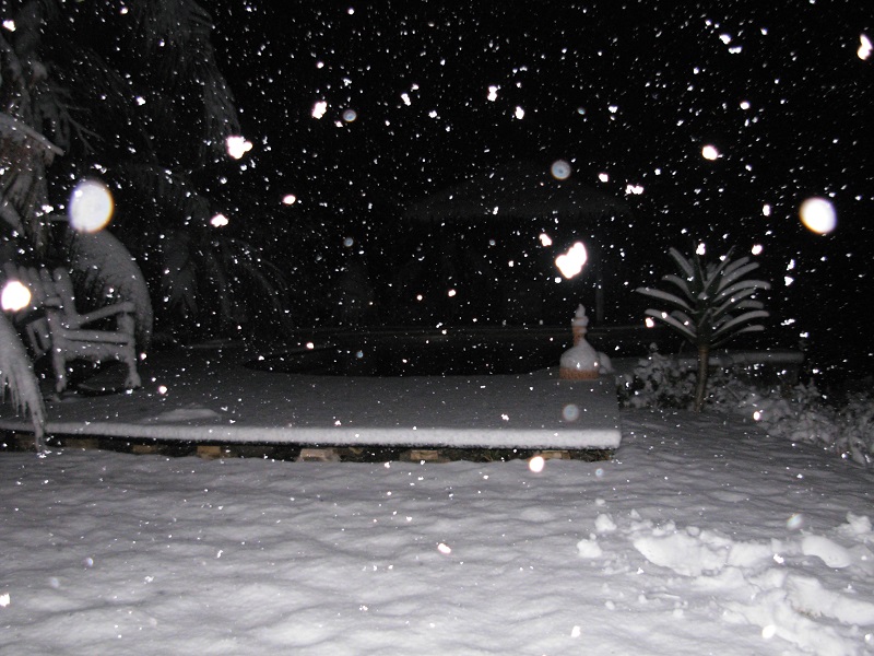 DSCN9724.JPG