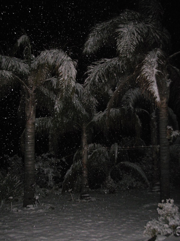 DSCN9720.JPG