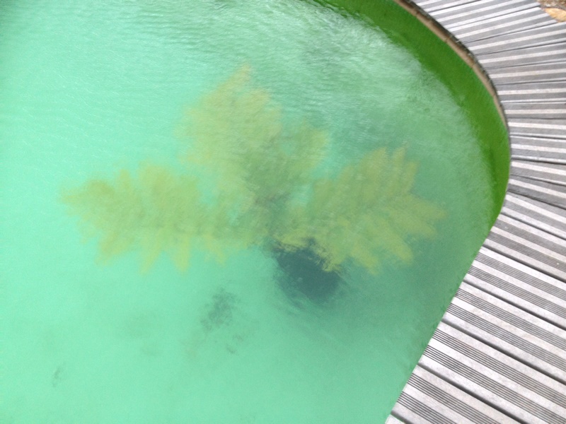 IMG_2359 (Copier).JPG