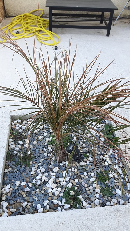 20180328_184459.jpg