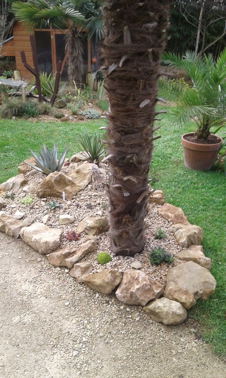 20180412_111435.jpg