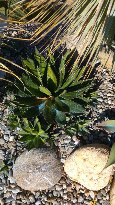20180404_181147.jpg