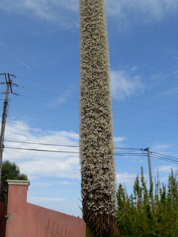 DSCN9775.JPG