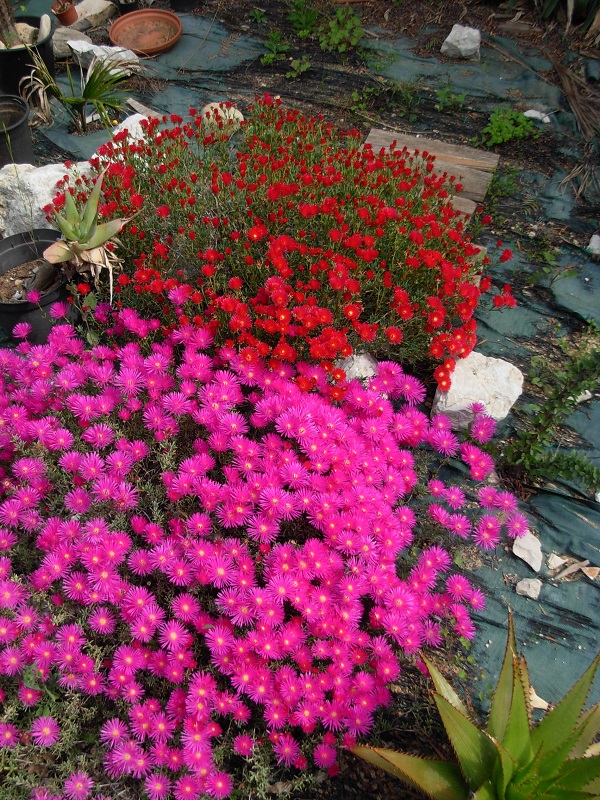 DSCN9773.JPG