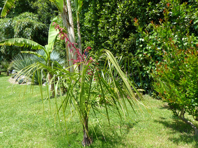 P1140146fh.jpg