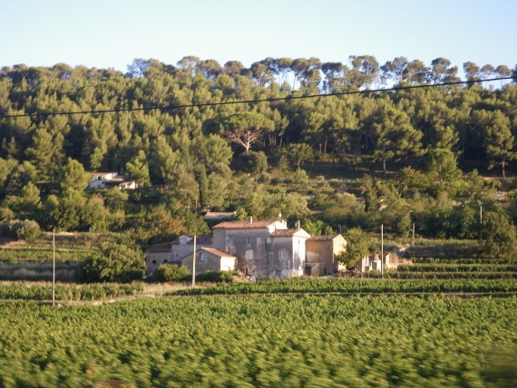 IMGP1405 (570x428).jpg