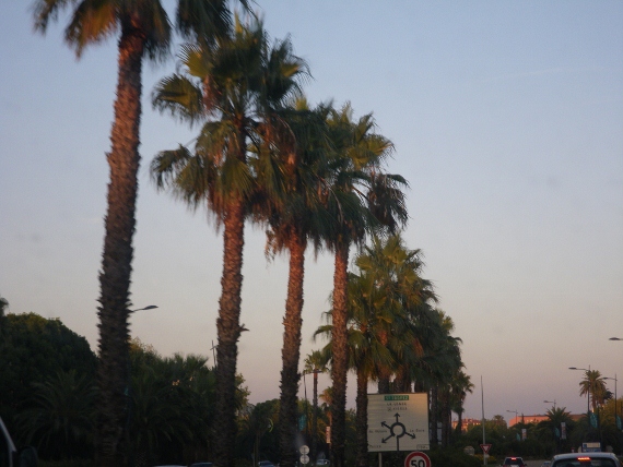 IMGP1411 (570x428).jpg