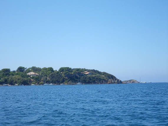 IMGP1441 (570x428).jpg