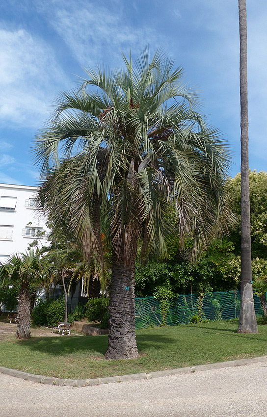 P1050743.JPG