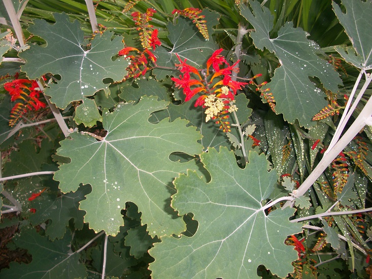 100_9233.JPG