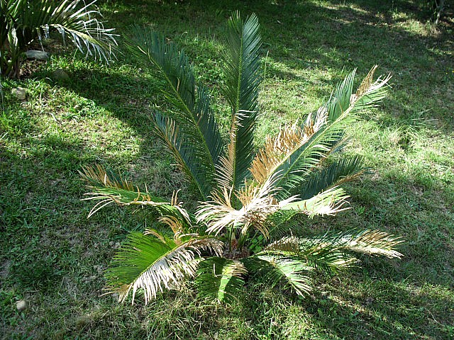 HPIM0088.JPG