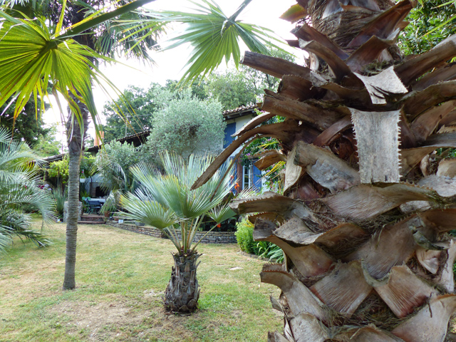 P1140477fh.jpg