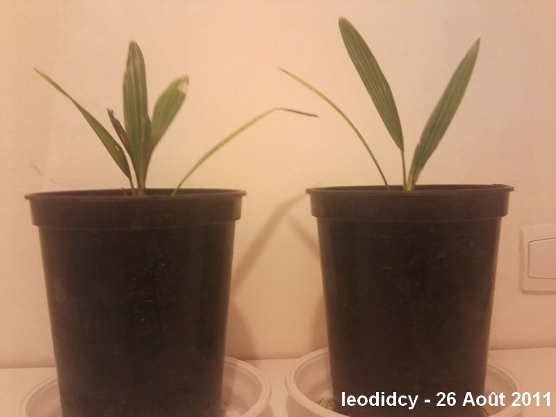 Photo0118.jpg