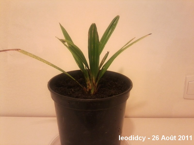 Photo0120.jpg