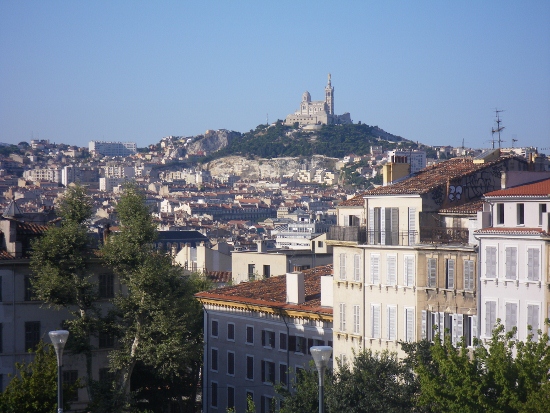 IMGP1509 (550x413).jpg