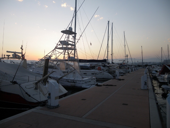 IMGP1572 (550x413).jpg