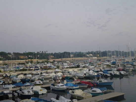 IMGP1575 (550x413).jpg