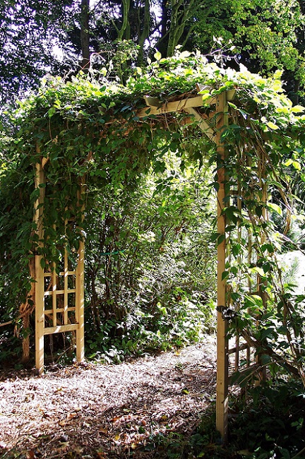 2 pergola 650.jpg