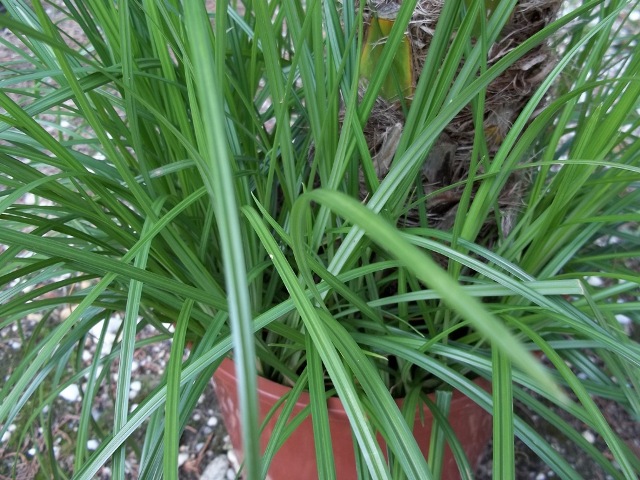 Photo 004.jpg