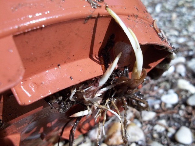 100_0212.jpg